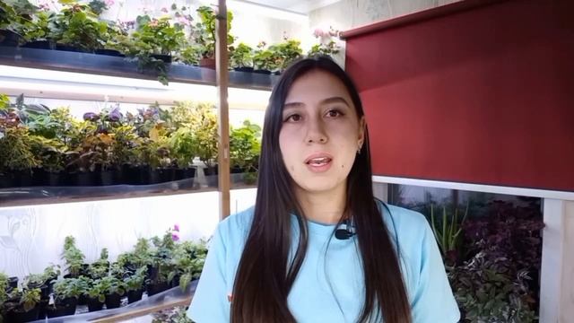 с чего я начинала ЦВЕТОЧНЫЙ БИЗНЕС? Торговля на рынке РАССАДОЙ