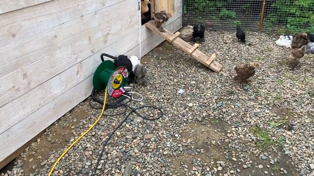 #216 Дожди не дают нормально работать. Поездка в Отрадную / Переезд из города в деревню смотреть онлайн