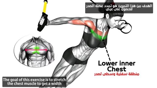 профессиональный отжимания? смотреть онлайн