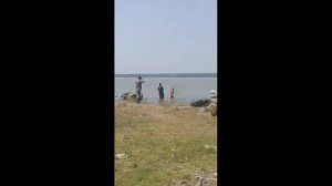 Трофейная рыбалка на сазана, на Оби, 2021