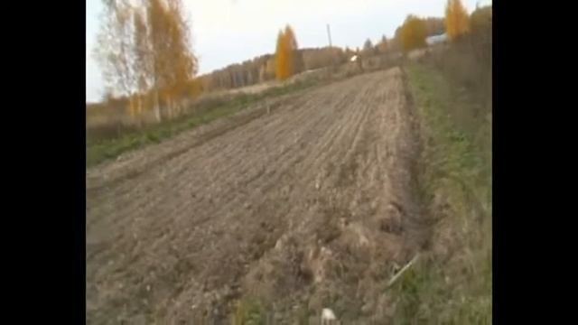 моё хозяйство ,всего понемногу,Малое сельское хозяйство