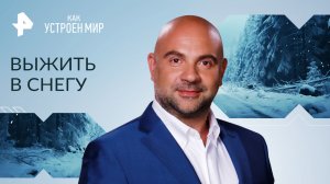 Выжить в снегу — Как устроен мир с Тимофеем Баженовым (07.02.2023)