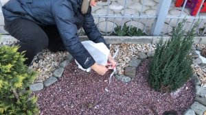 Укрывной чехол. Агротекс. Защита молодых растений от морозов