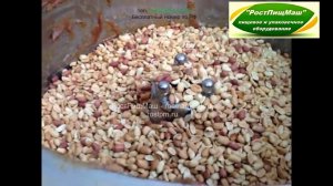 Куттер ИПКС измельчение орехов от РостПищМаш