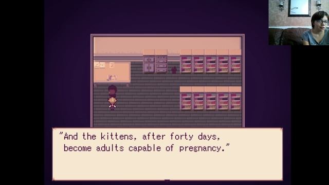 KoiKats Play Alice Mare Episode 17 - Cat Math смотреть онлайн