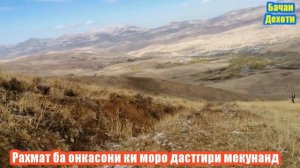 Осиная погода Фароб сахро