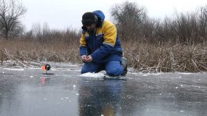 ЖЕРЛИЦА С АМОРТИЗАТОРОМ. ПРОСТОЙ И УЛОВИСТЫЙ МОНТАЖ ! Underwater video