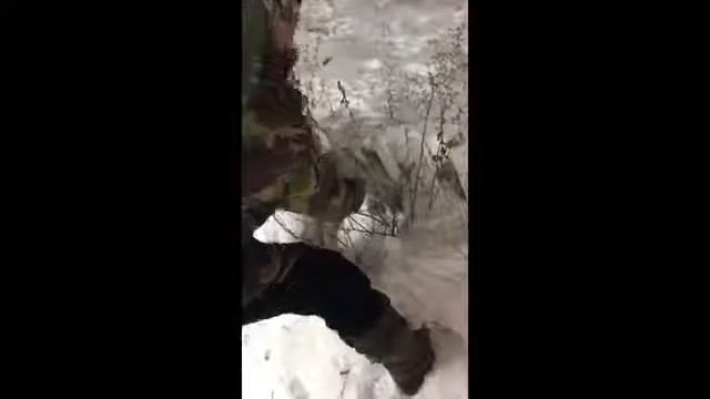 В КАЗАХСТАНЕ ЖУТКИЕ МОРОЗЫ -46 ЗАМЕРЛИ ЖИВОТНЫЕ