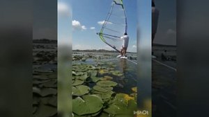 Озеро Колыванское. Отдых на базе "Солнечный берег"