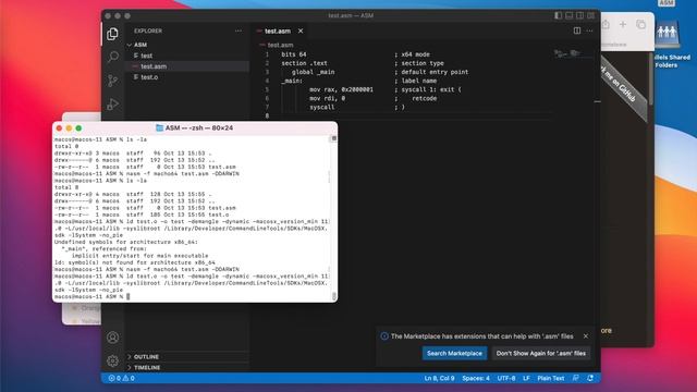 NASM x64 (Netwide Assembler) macOS 11+ смотреть онлайн