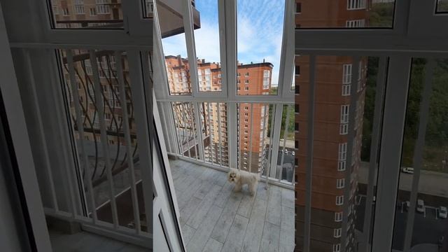 ПРОДАНА.  ЖК ВЕРЕСАЕВО 30м2                                    все вопросы по +7 989 500-05-50