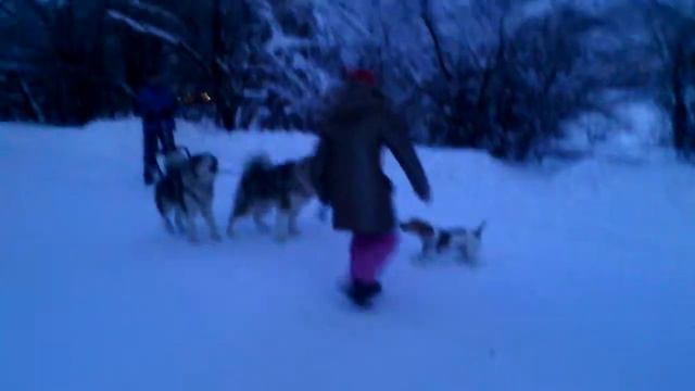 Смешное смотреть онлайн