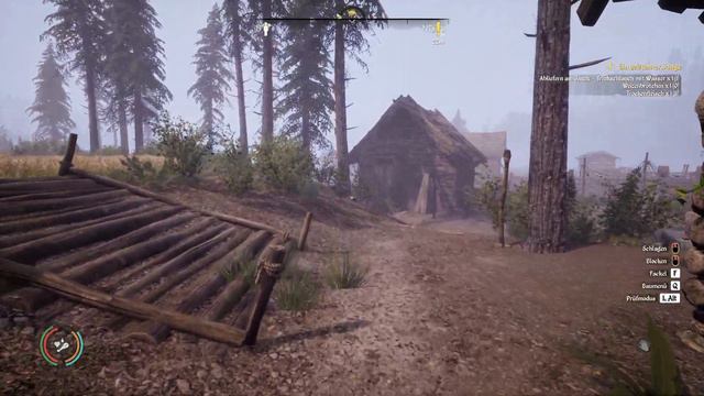 Medieval Dynasty - New Map - Co-Op - ein seltsamer Junge #03 - Deutsch/German