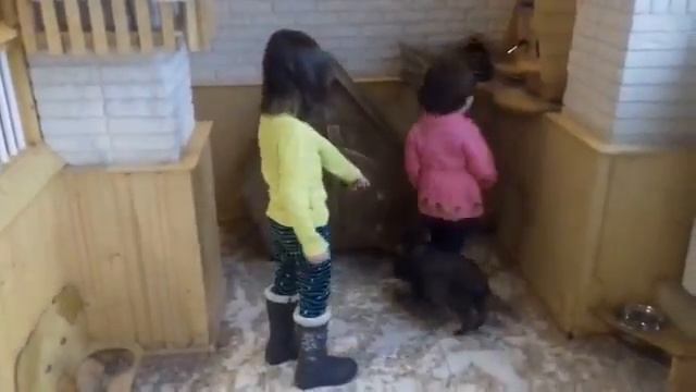 контактный зоопарк! смотреть онлайн