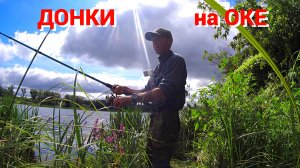САЛО выручает, а на ГОРОХ загибает. Рыбалка на Оке на донки с салом, на горох и пшеницу.