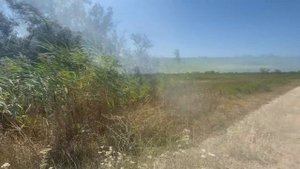 СДАМ В АРЕНДУ или ПРОДАМ участок (земли сельхозназначения) площадью 17,5 гектаров  т.8-918-4-777-35