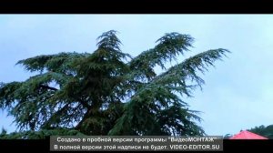 ЖК Бархатный сезон (Ялта, Ливадия) Вид с террасы