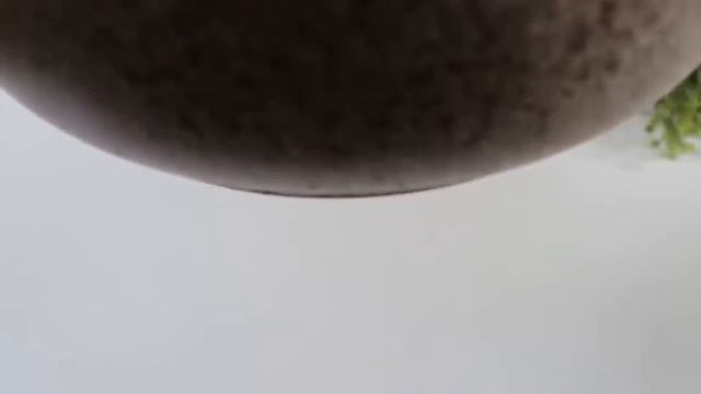 Saçlar deli gibi uzar ve dökülmez! Bu en güçlü araçtır! En Güçlü İçerik смотреть онлайн