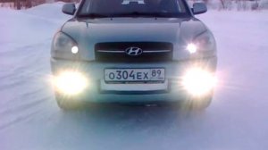 ДХО на туксон