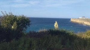 Прогулка вдоль моря в бухте Казачья. 8.11.2023