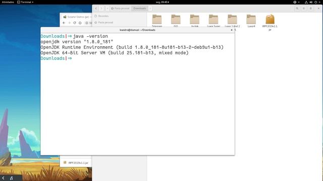 IRPF 2019 - Linux com OpenJDK смотреть онлайн
