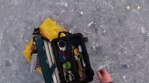 Зимняя рыбалка. Первый лёд 2019. Лесное Озеро Кумъяр, Марий Эл