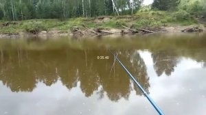 Сетка с кормушкой на сибирских реках.