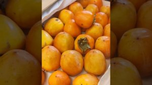 Хурма.Что сделать,чтобы она не вязала?