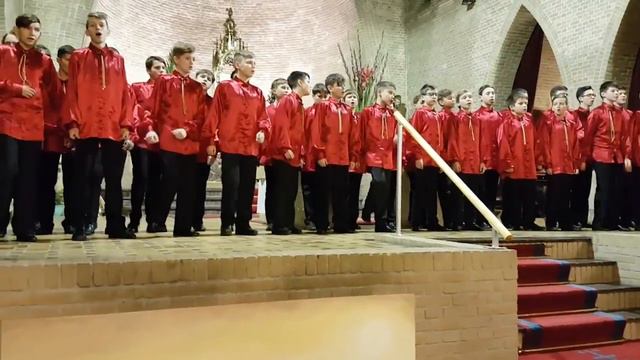 Choir Dzvinochok in Holland 2017 смотреть онлайн