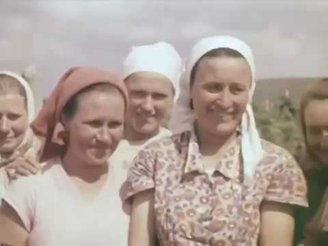 Председатель Молдавского колхоза "Новая жизнь" А. Юнак (1967 ; фрагмент из фильма) смотреть онлайн