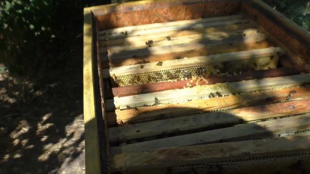 Матка перейдет в магазин, если нет решётки? смотреть онлайн