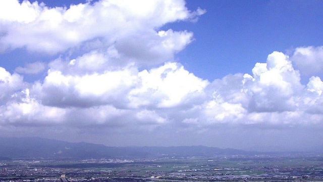 мы разные птицы смотреть онлайн