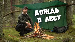 ПОХОД В ДОЖДЬ ПОД ТЕНТОМ, ВЫХОД В ЛЕС, КОФЕ
