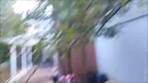 Выращиваем яблоко в бутылке/Часть 4 и 5