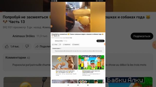 26 ноября 2023 г. смотреть онлайн