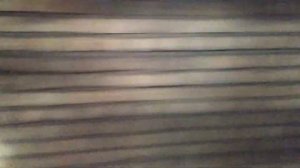 Новосибирский метрополитен, Ленинская линия, перегон Заельцовская - Площадь Маркса. 0039-0040