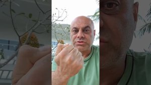 Правила Копчения 1 февраля 2022 г. Коптильно-Вялочное оборудование Москит