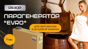 Парогенератор с регулируемой мощностью "EVRO" 3кВт для фитобочки, душевой кабины и мини хаммама