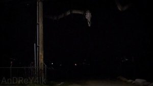 Звуки издаваемые Долговязой Лошадью | Long Horse sounds