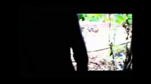 Существо рейк снятый на камеру. Самые Жуткие существа снятые на Видео