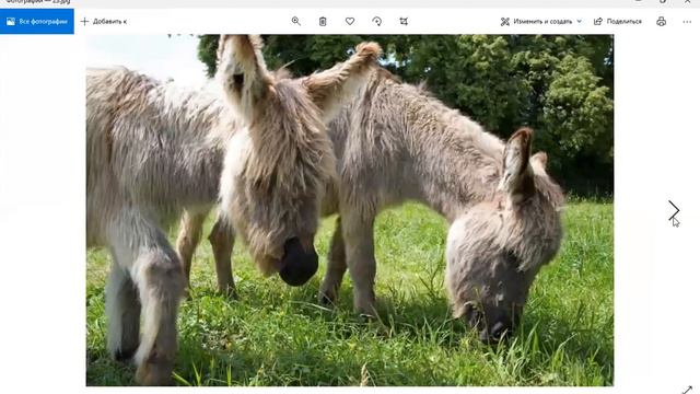 ❤️🇨🇭✈️ Базель - ворота Швейцарии - 1 часть смотреть онлайн