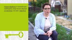ЧУДО-СРЕДСТВО ОТ ЛУКОВОЙ МУХИ