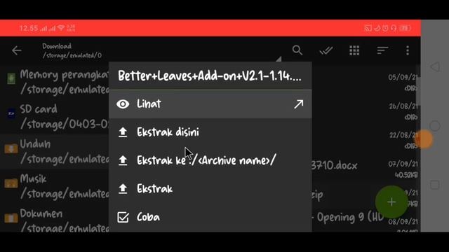 Cara Pasang Texture Jerm's Better Leaves Di Pojav Launcher | Daun Nya Jadi 3D Dong!! смотреть онлайн