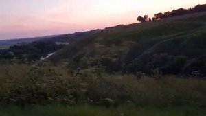 Орловская область, д.Вяжи