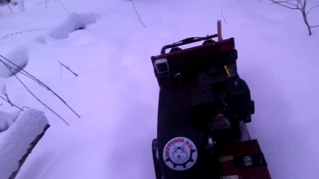 На мотособаке по лесной тропинке смотреть онлайн