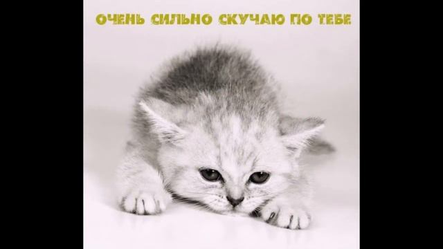 Для любимой Девушки Иришки=)
