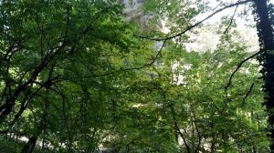 Крымская история