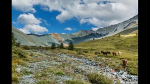 Алтайское горловое пение(Altai Throat Singing), Алтайский Кавер