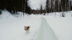 ЗАКРЫТИЕ СЕЗОНА | С БРАТОМ В ТАЙГУ | ПАСТА БОЛОНЬЕЗЕ НА ВОКЕ