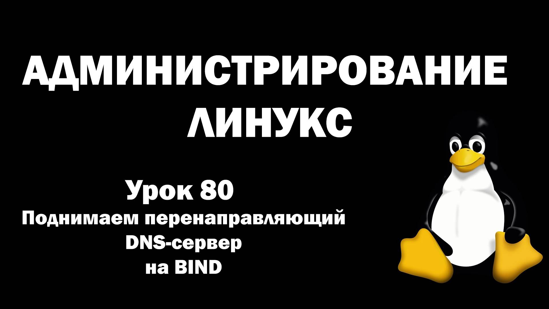 Администрирование Линукс (Linux) - Урок 80 - Поднимаем перенаправляющий DNS-сервер на BIND